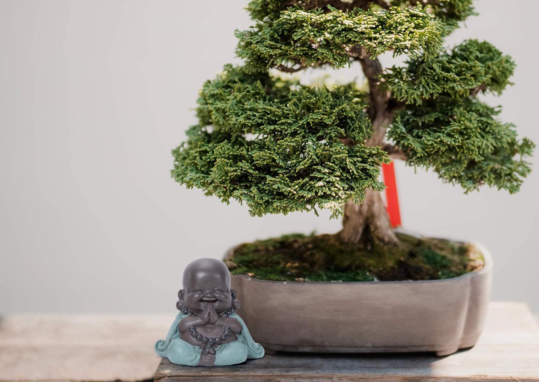 ☆商談中☆小さなブッダ